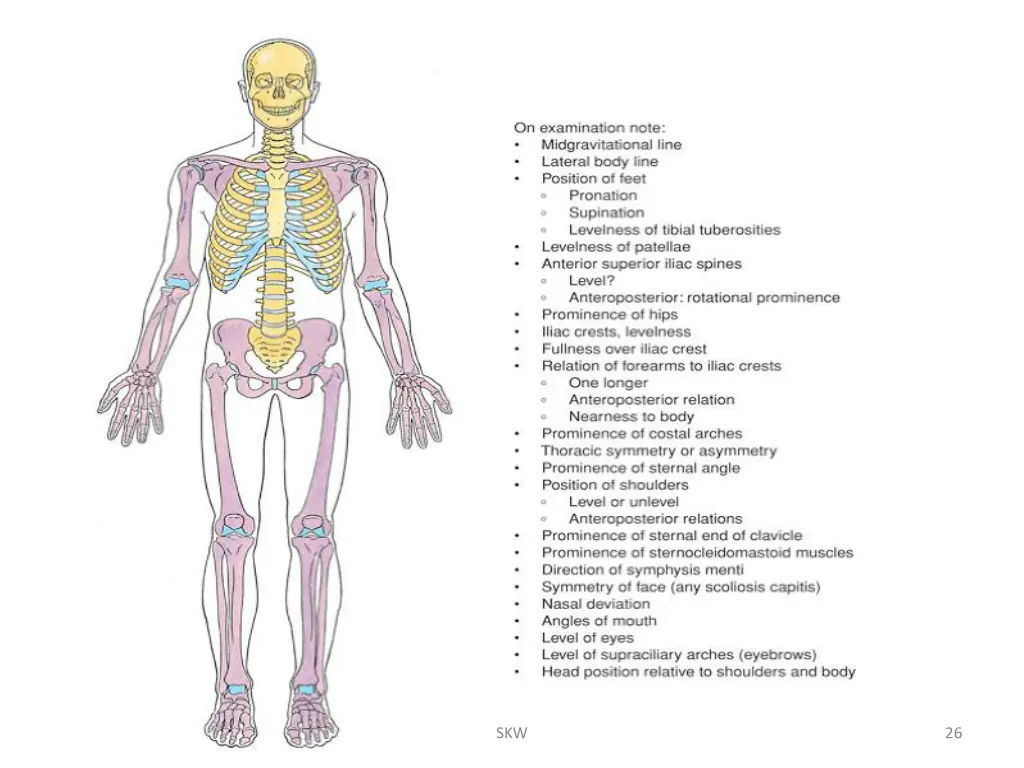 slide26
