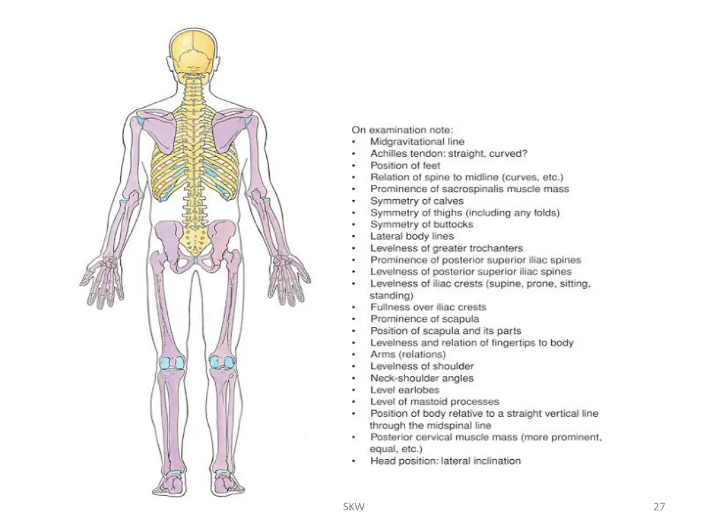 slide27