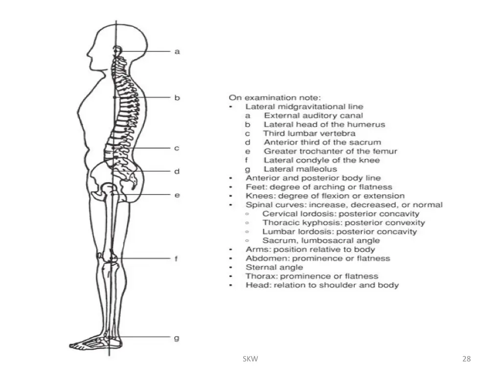 slide28