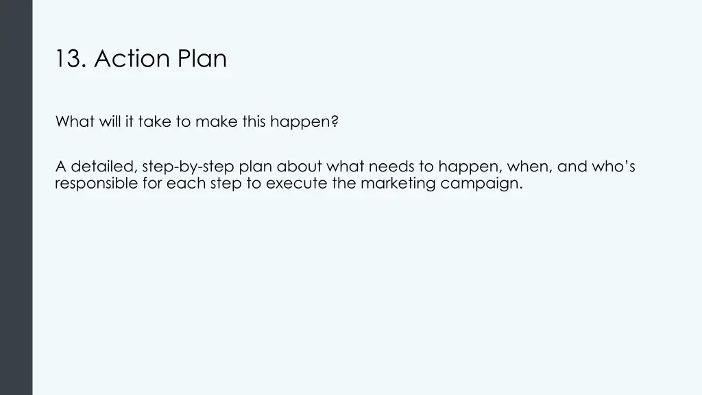 13 action plan