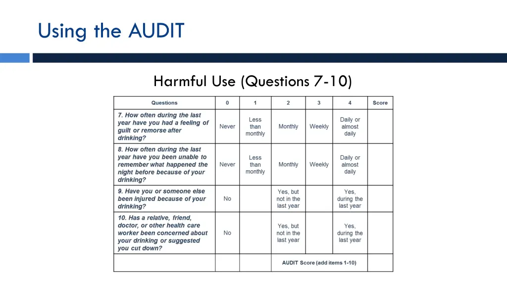 using the audit 1