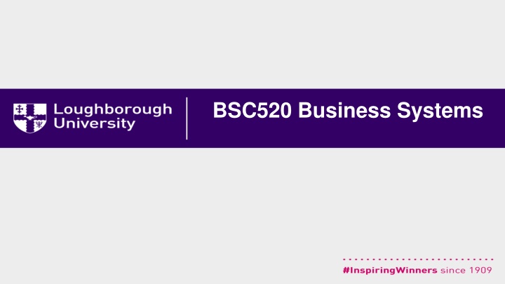 bsc520 business systems