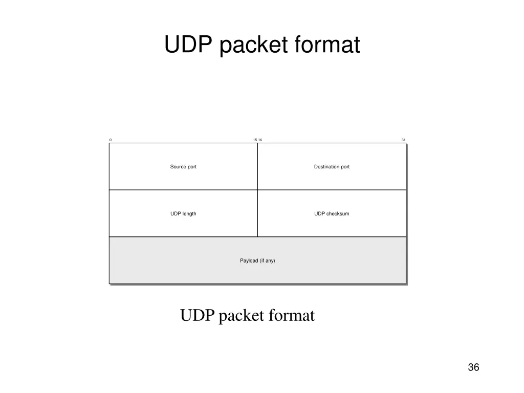 udp packet format