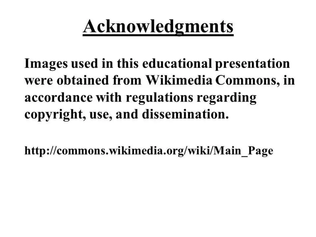 slide5