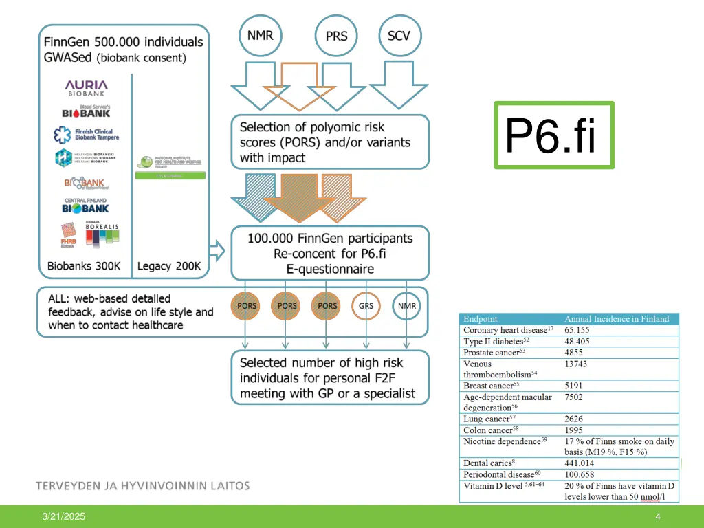 p6 fi