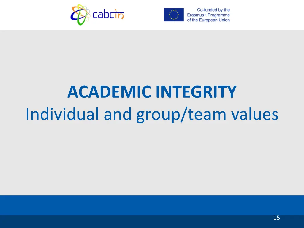 academic integrity individual and group team