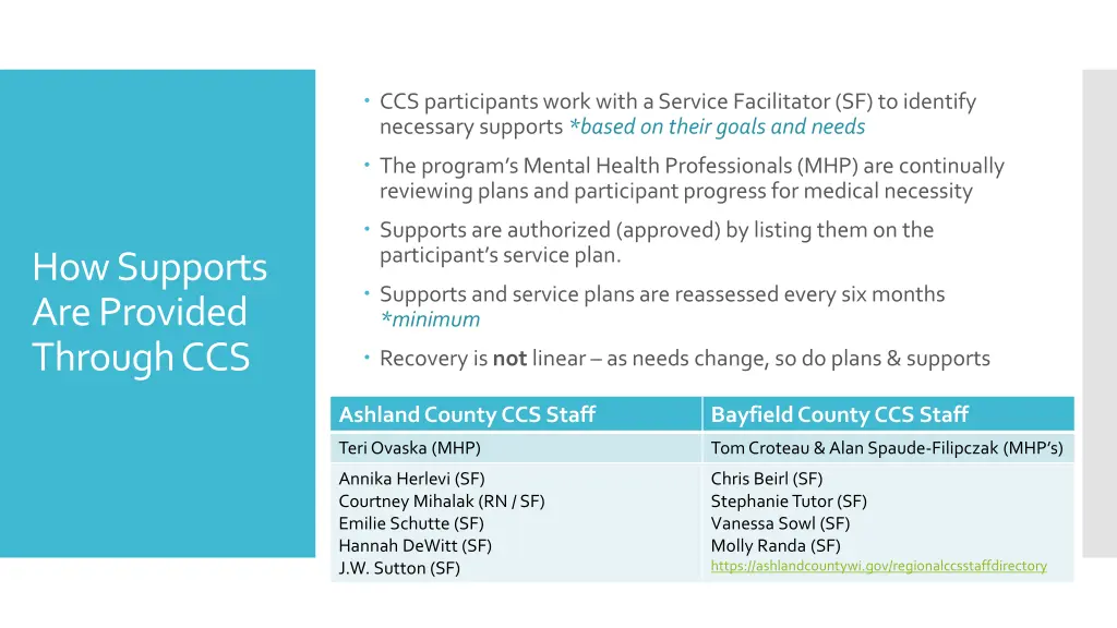 ccs participants work with a service facilitator