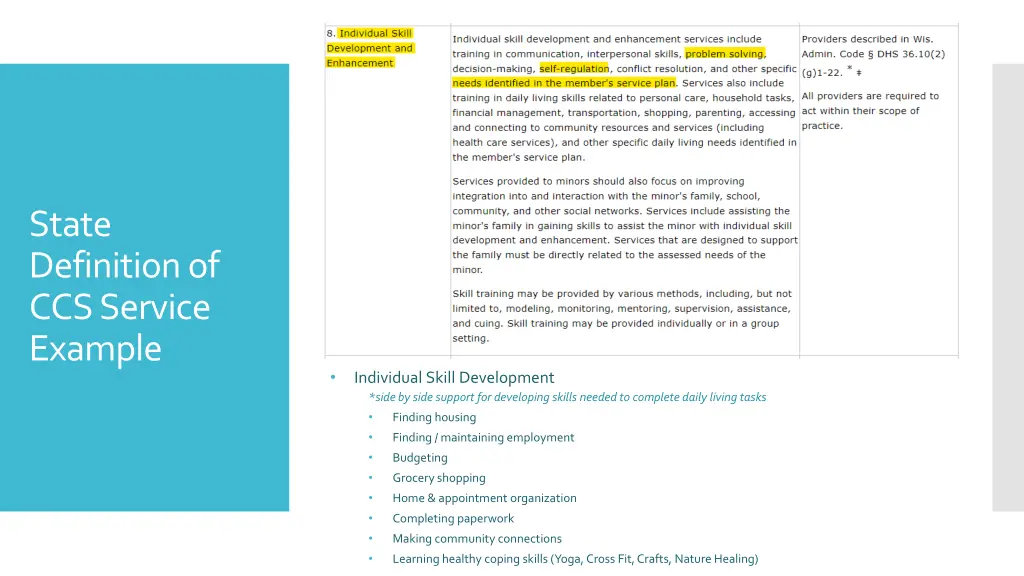 state definition of ccs service example