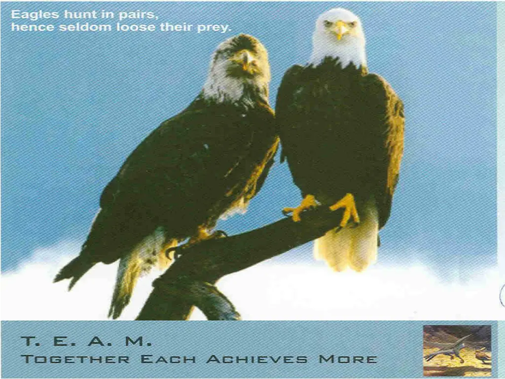 slide6