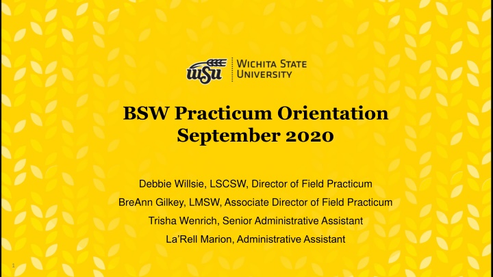 bsw practicum orientation september 2020