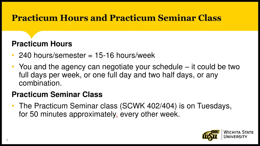 practicum hours and practicum seminar class