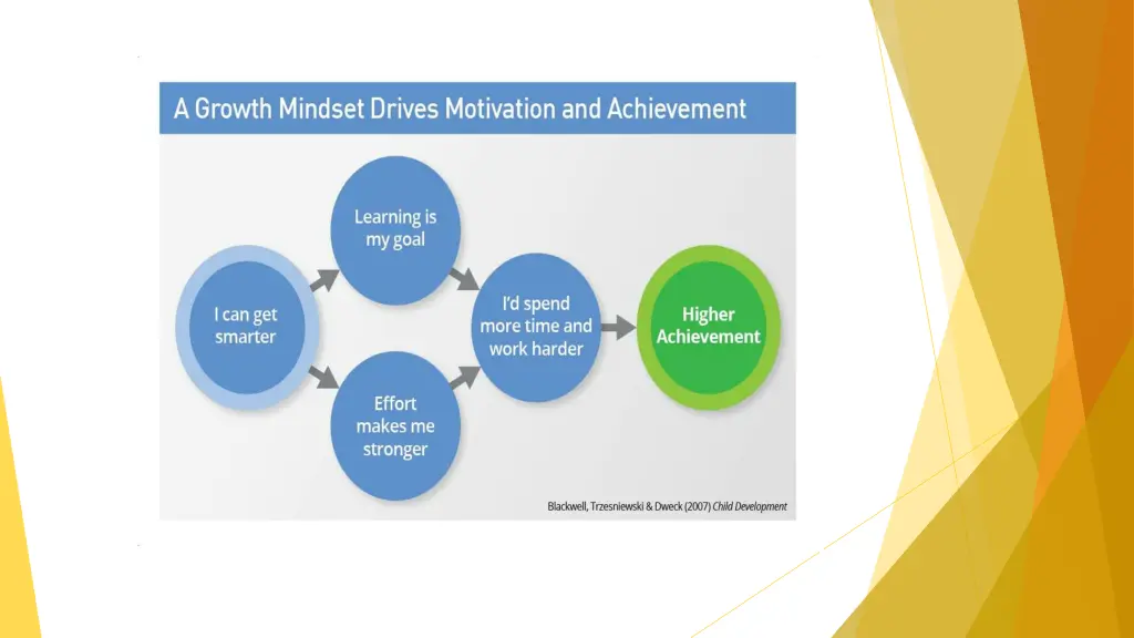 slide8