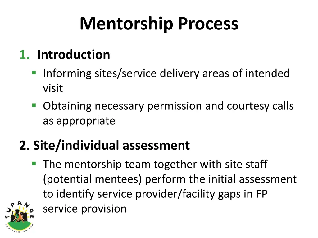 mentorship process