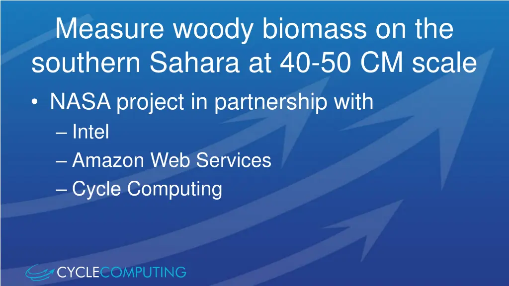 measure woody biomass on the southern sahara