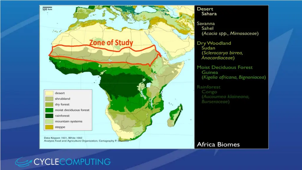 slide8