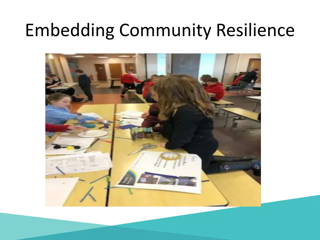 embedding community resilience 1