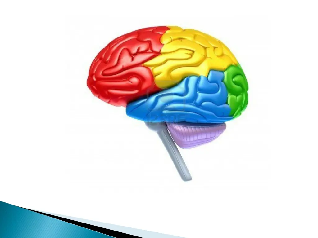 slide11