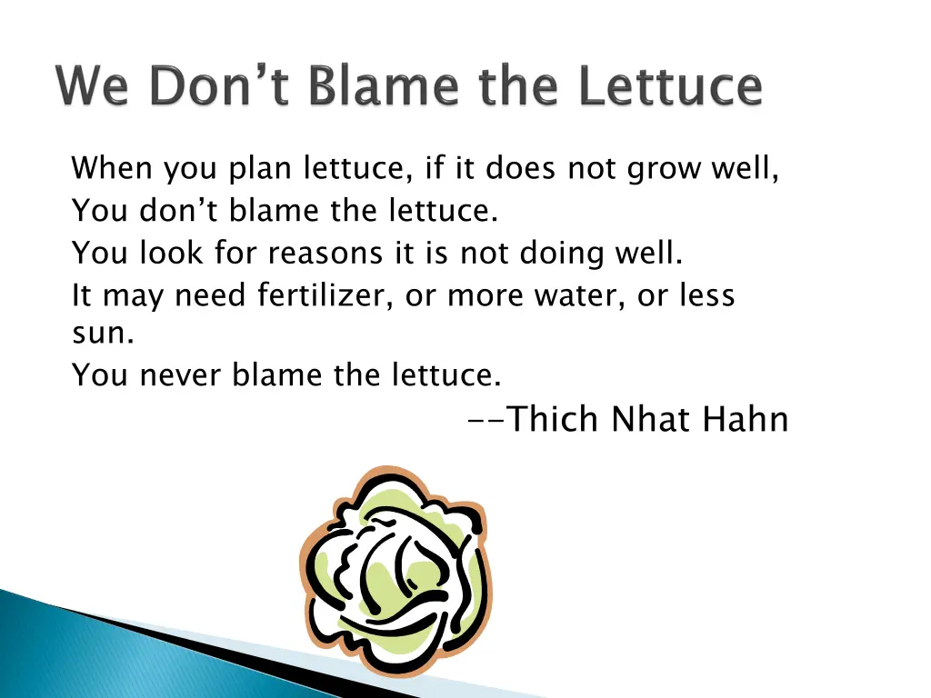 when you plan lettuce if it does not grow well