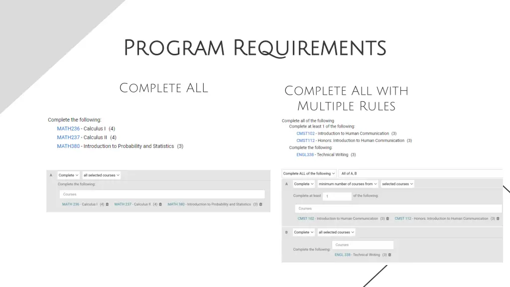 program requirements program requirements 1