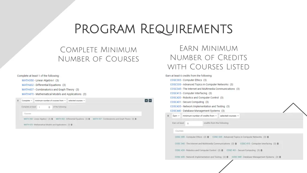 program requirements program requirements 2