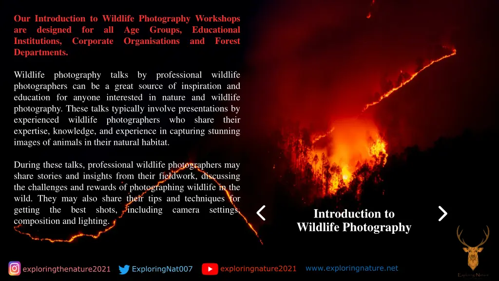our introduction to wildlife photography