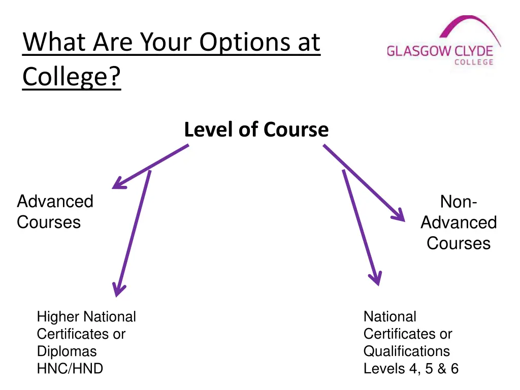 what are your options at college