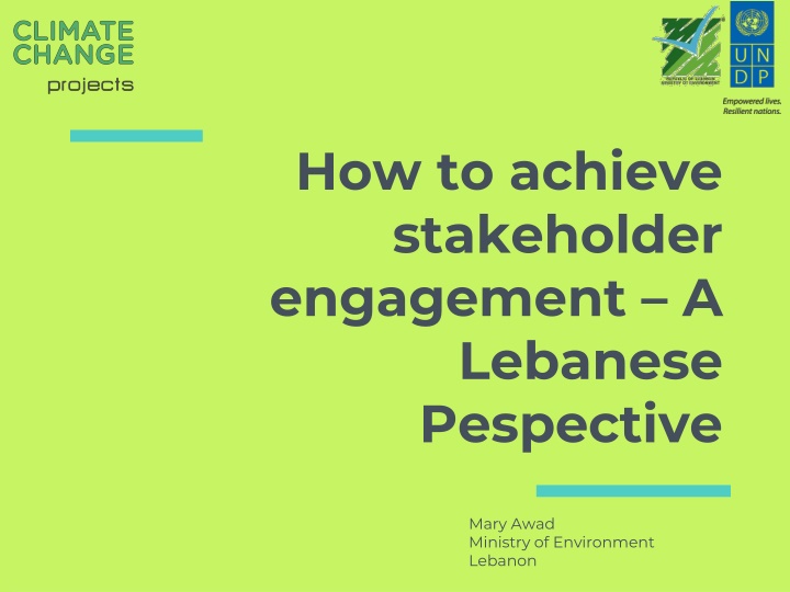 how to achieve stakeholder engagement a lebanese