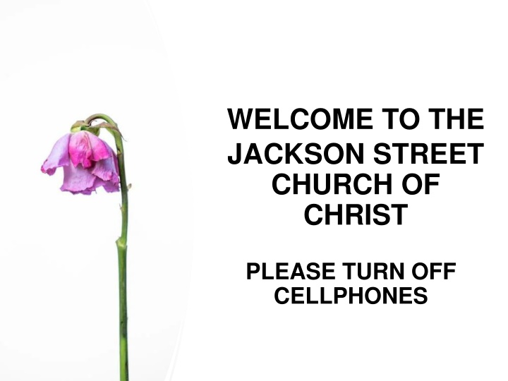 welcome to the jackson street church of christ
