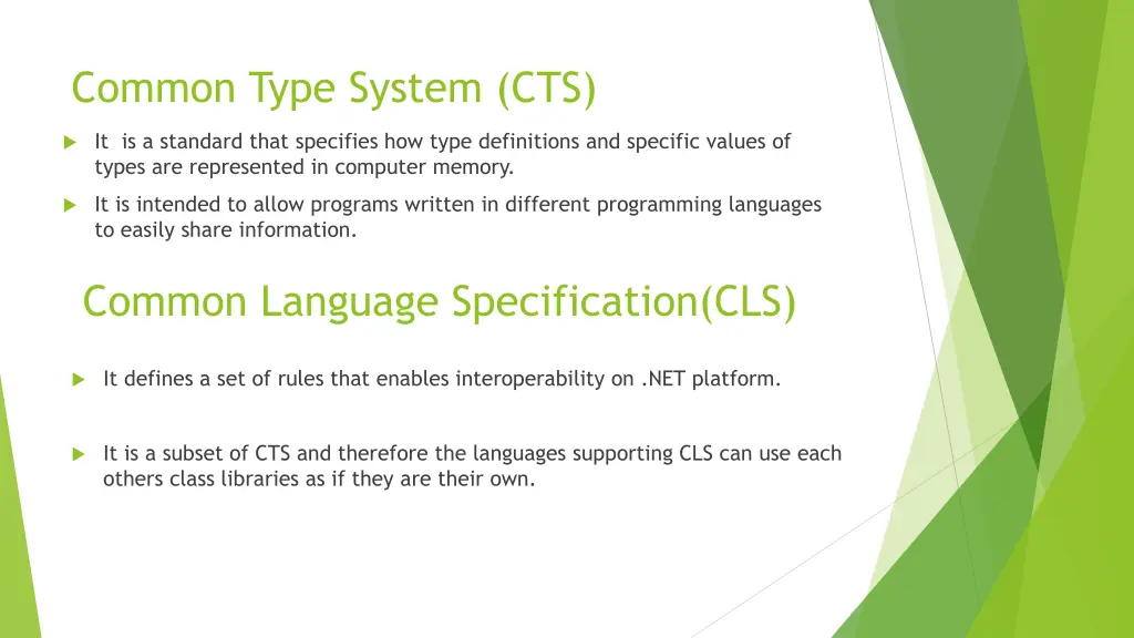 common type system cts