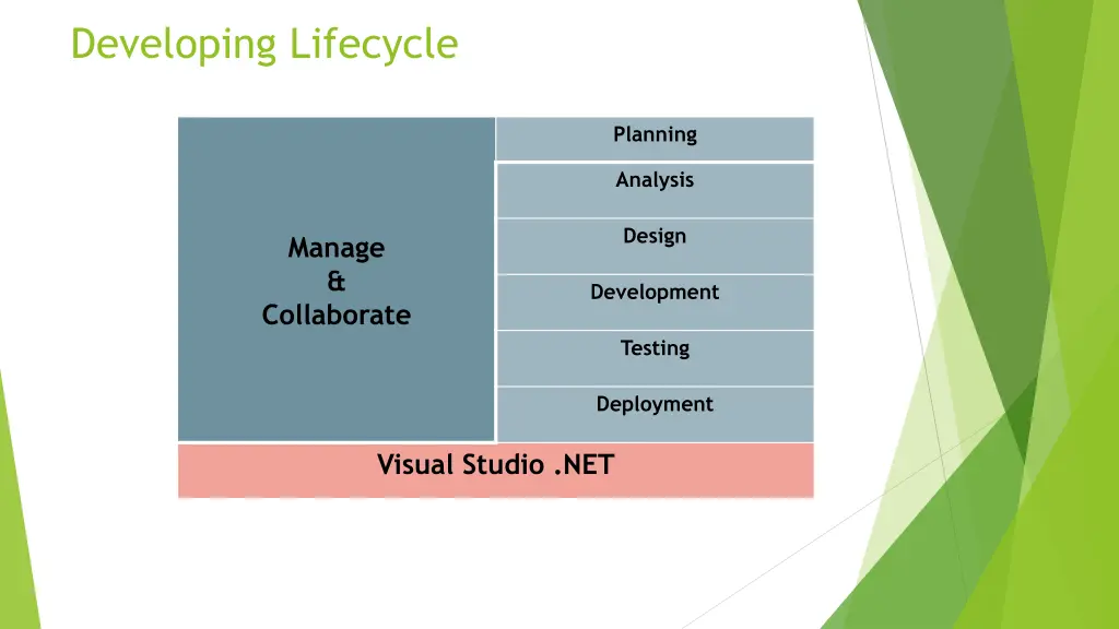 developing lifecycle