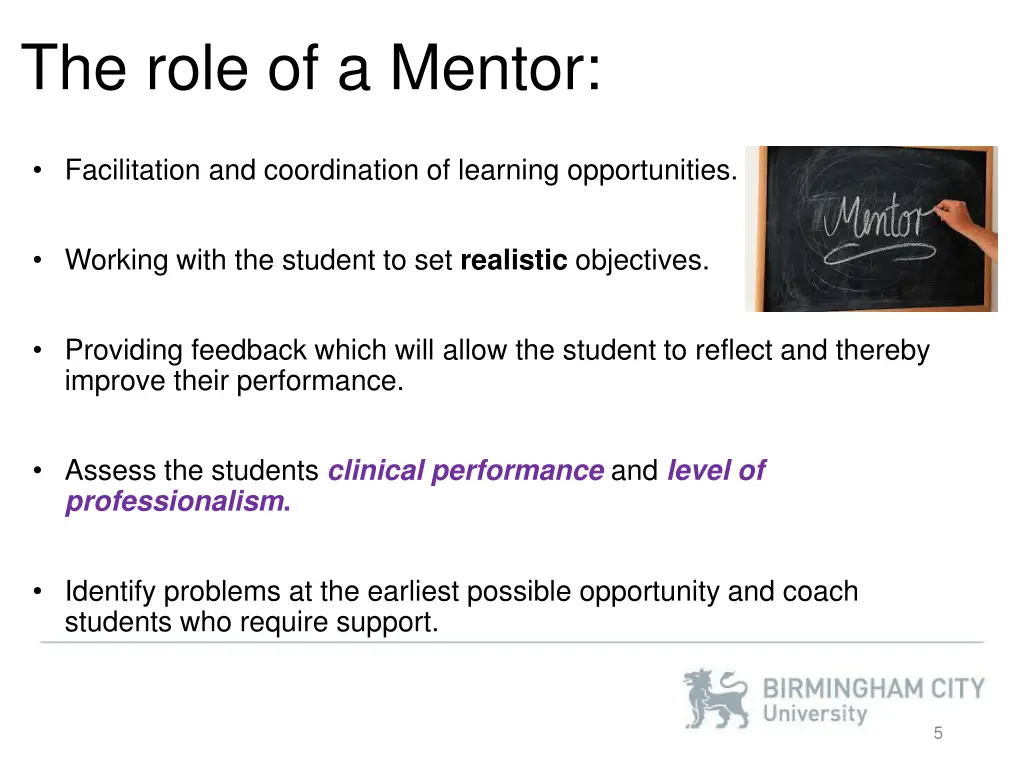 the role of a mentor
