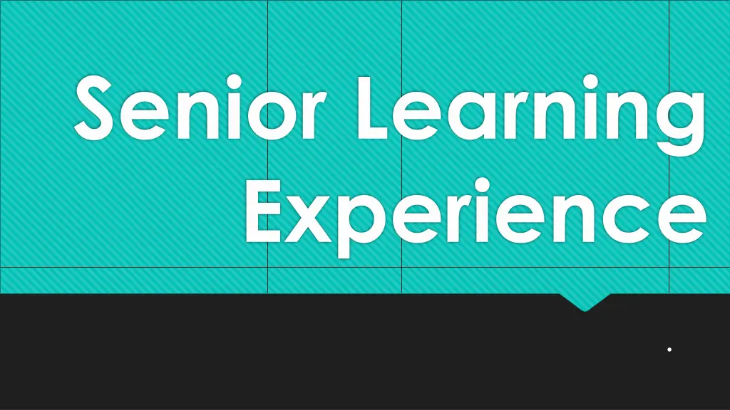 senior learning experience