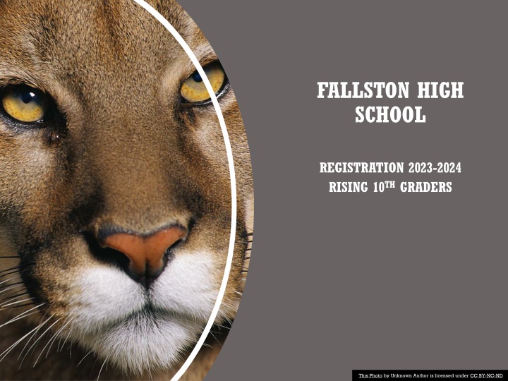 fallston high school