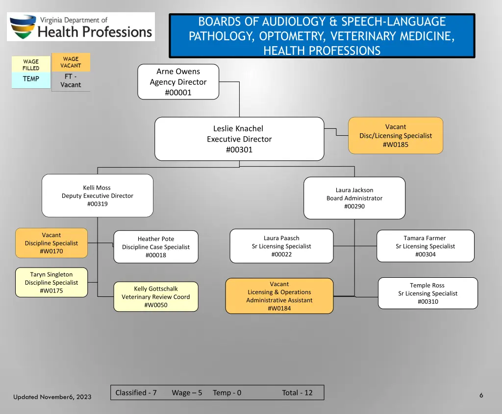 boards of audiology speech language pathology
