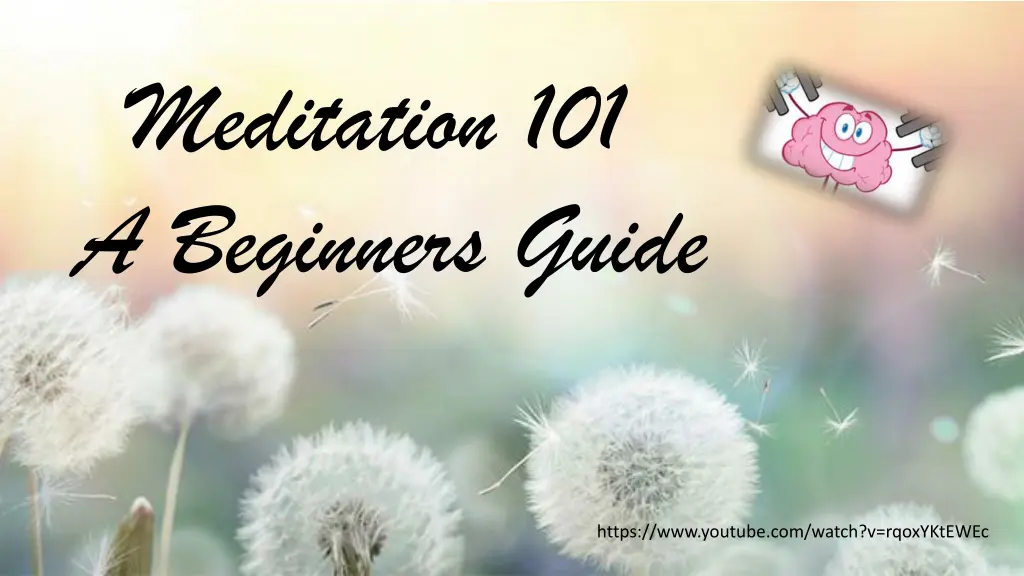 meditation 101 a beginners guide