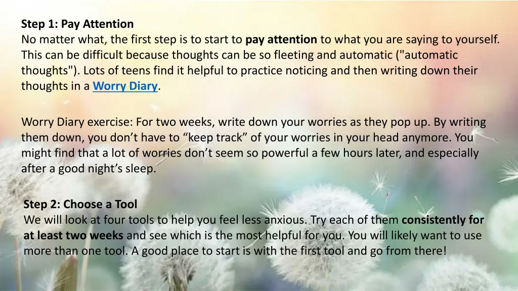 step 1 pay attention no matter what the first