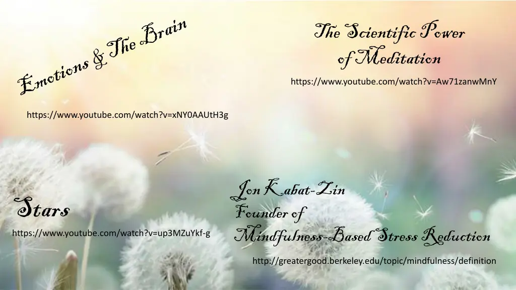the scientific power of meditation