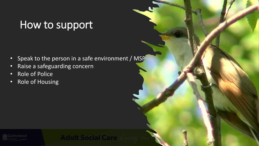 how to support how to support