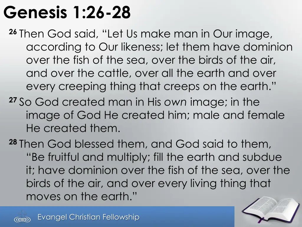 genesis 1 26 28