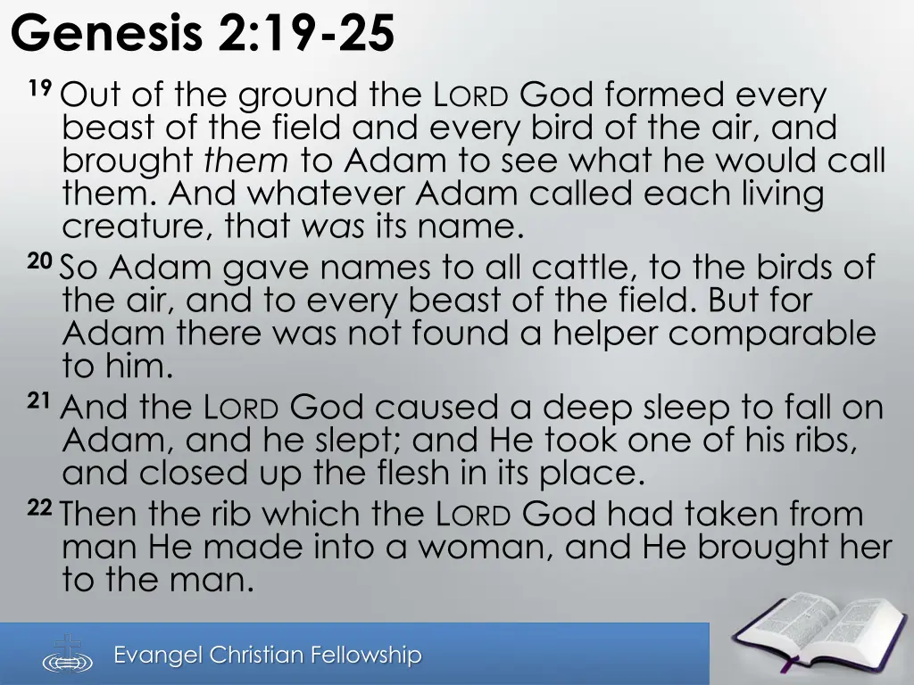 genesis 2 19 25 19 out of the ground 2
