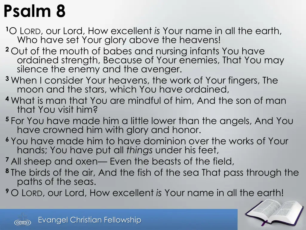 psalm 8