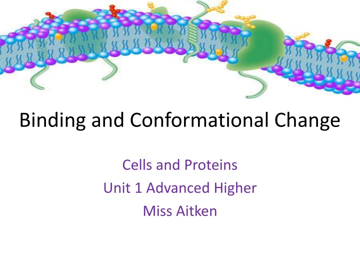 binding and conformational change
