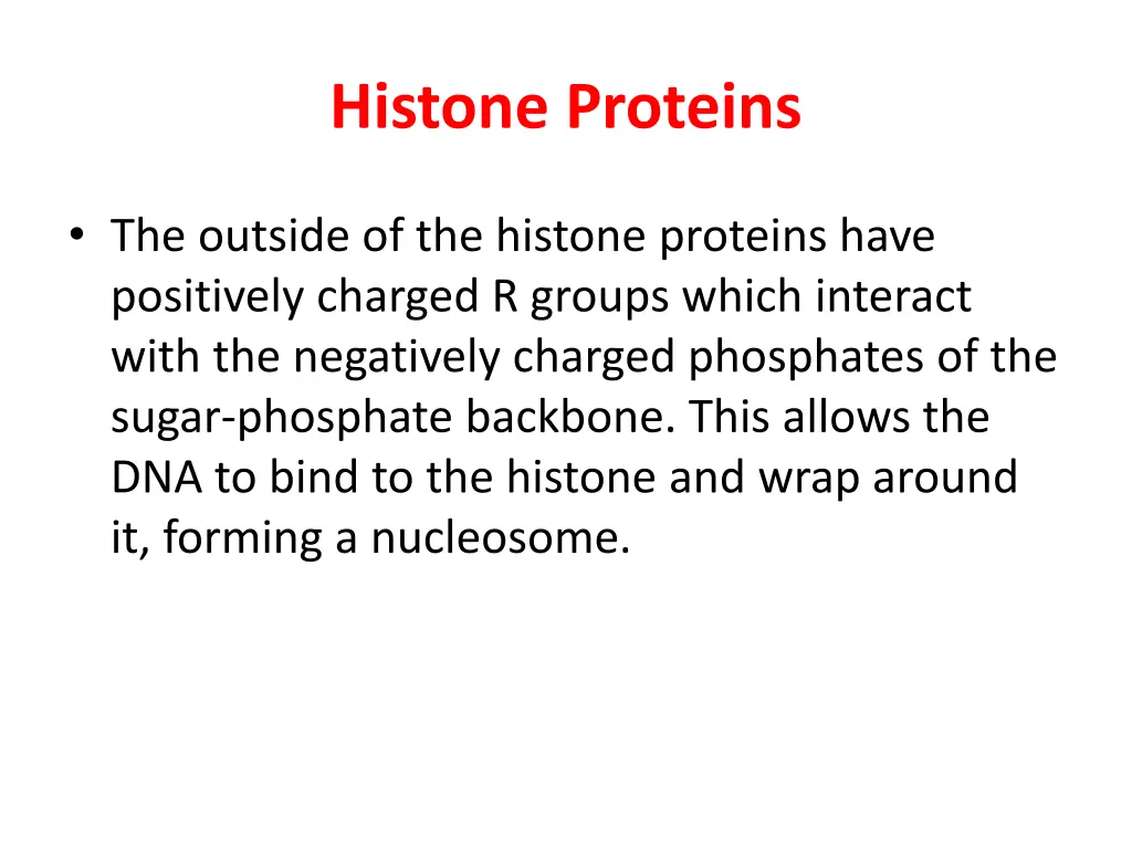 histone proteins 1