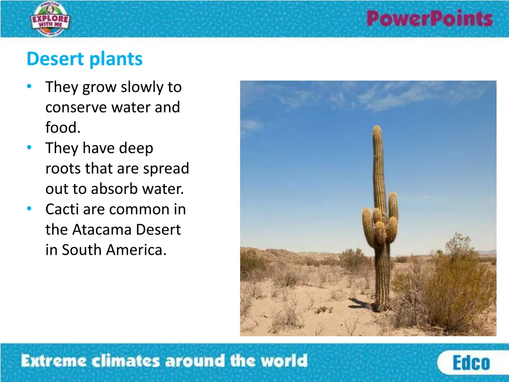 desert plants they grow slowly to conserve water