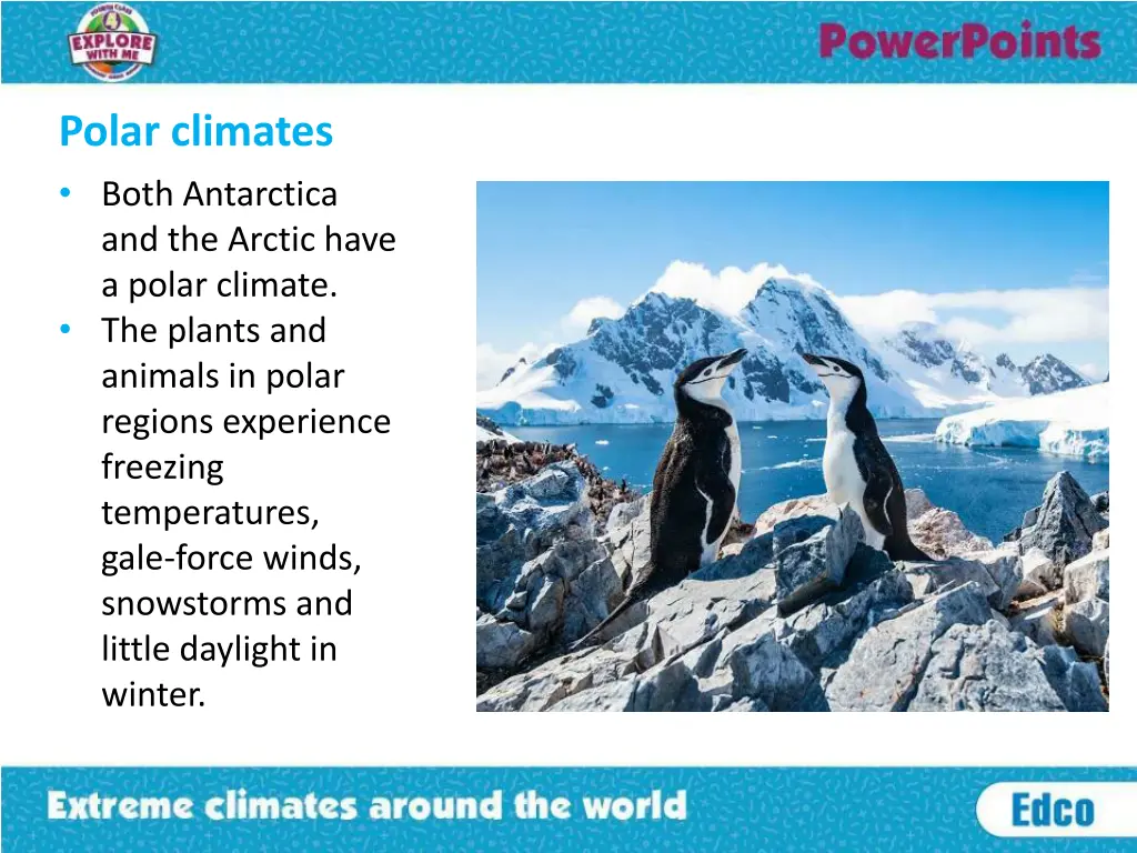 polar climates both antarctica and the arctic