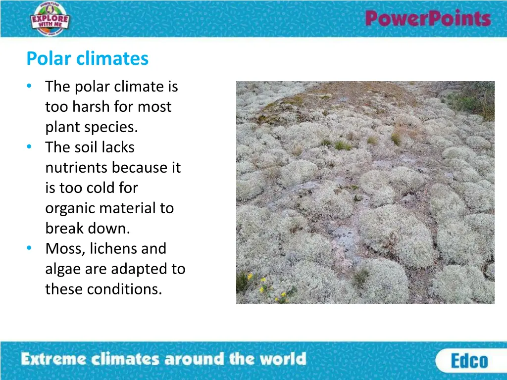 polar climates the polar climate is too harsh