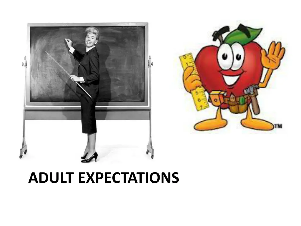 adult expectations 1