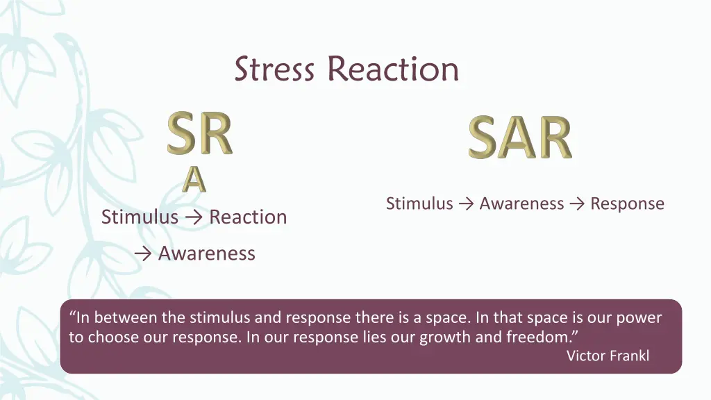 stress reaction