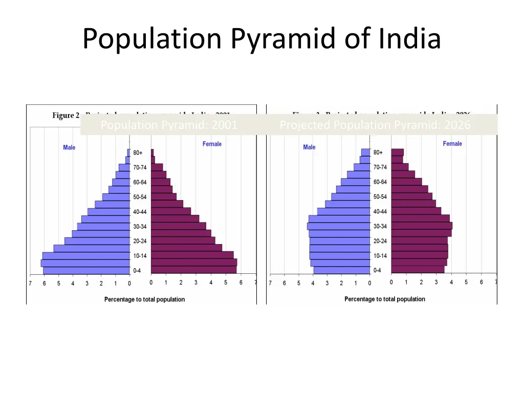 population pyramid of india