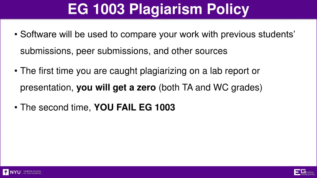 eg 1003 plagiarism policy